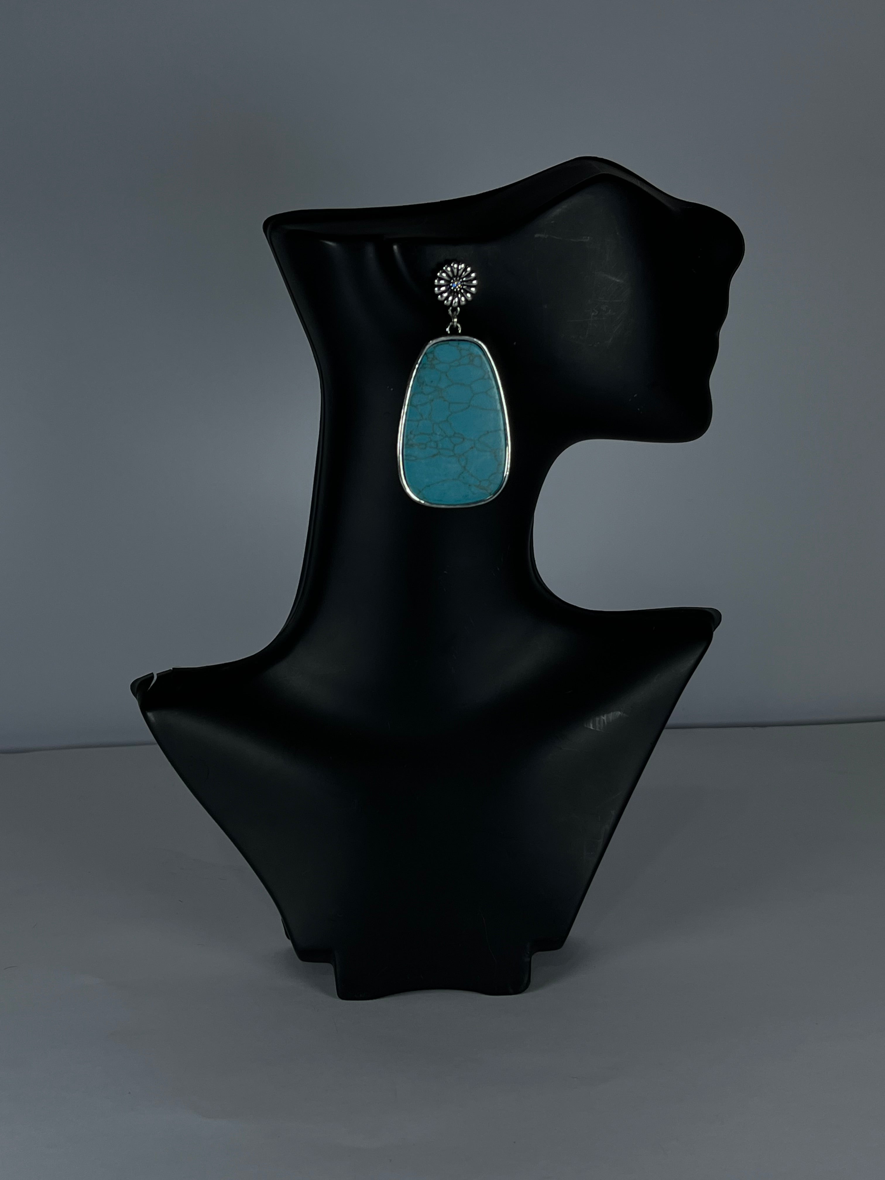 ARETES WESTERN 22