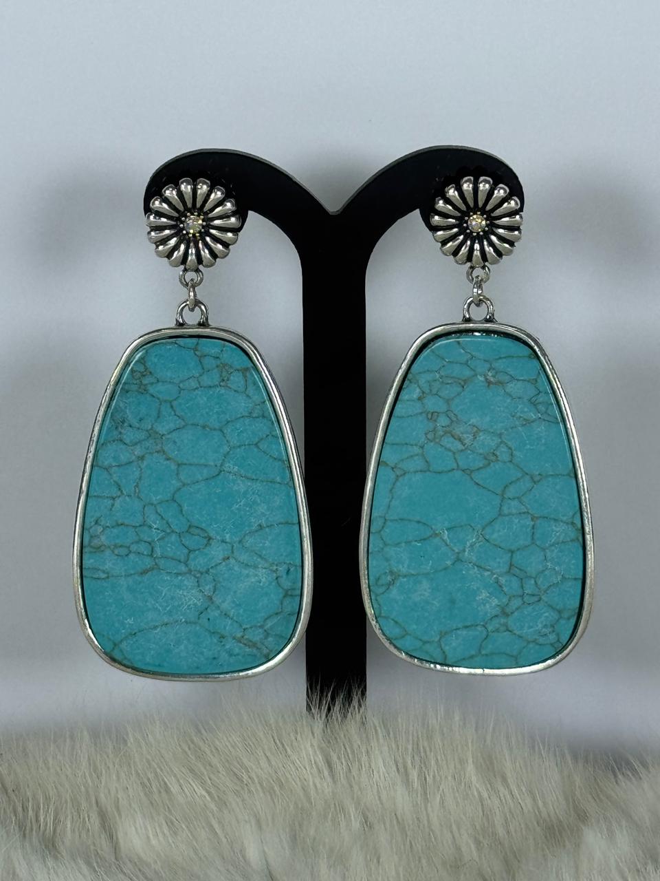 ARETES WESTERN 22